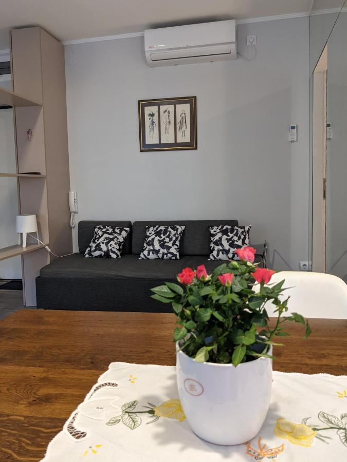Danka Apartment Beograd Bagian luar foto